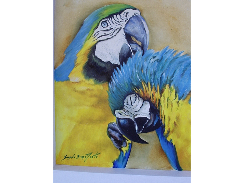 Óleo sobre Tela - exposição indio 04 008